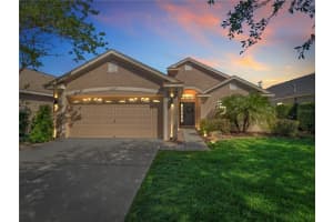 11529 CYPRESS RESERVE DRIVE, TAMPA, FL 33626 - MLS#MFRTB8500968