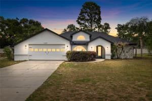 13269 DON LOOP, SPRING HILL, FL 34609 - MLS#MFRTB8501018