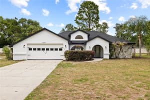 13269 DON LOOP, SPRING HILL, FL 34609 - MLS#MFRTB8501018