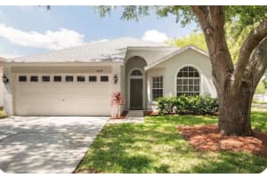 8534 Fawn Creek Dr, TAMPA