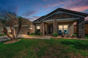 8449 BLUEVINE SKY DRIVE, LAND O LAKES, FL 34637 - MLS#MFRTB8501048