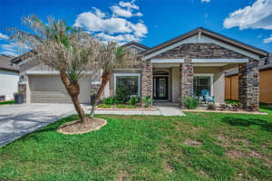 8449 BLUEVINE SKY DRIVE, LAND O LAKES, FL 34637 - MLS#MFRTB8501048