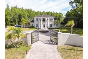 19153 Geraci Rd, LUTZ 19153 Geraci Rd, LUTZ