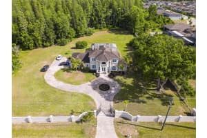 19153 GERACI ROAD, LUTZ, FL 33558 - MLS#MFRTB8501059