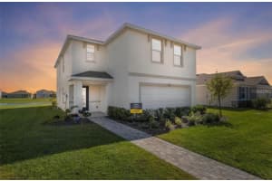 16716 Glacier Bay Loop, WIMAUMA