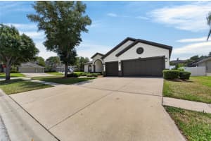 2309 SILVER TRUMPET COURT, VALRICO, FL 33594 - MLS#MFRTB8501082