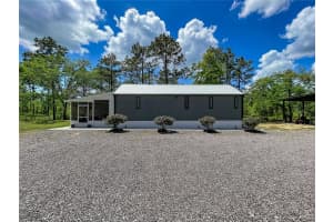 10388 SUNCOAST BOULEVARD, HOMOSASSA, FL 34446 - MLS#MFRTB8501095