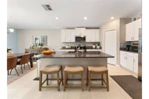 36548 GARDEN WALL WAY, ZEPHYRHILLS, FL 33541 - MLS#MFRTB8501098