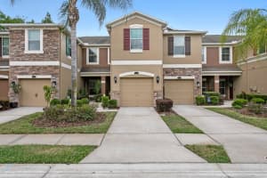 12474 Streamdale Dr, TAMPA