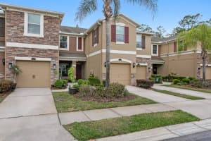 12474 STREAMDALE DRIVE, TAMPA, FL 33626 - MLS#MFRTB8501102