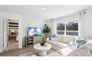 1210 ALPINE ASH PLACE, RUSKIN, FL 33570 - MLS#MFRTB8501108