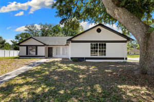 1546 Emblidge Ct, LUTZ