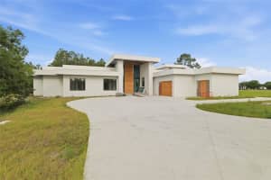 12505 STONELAKE RANCH BOULEVARD, THONOTOSASSA, FL 33592 - MLS#MFRTB8501189
