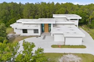 12505 STONELAKE RANCH BOULEVARD, THONOTOSASSA, FL 33592 - MLS#MFRTB8501189