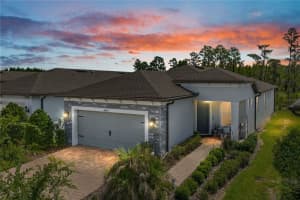 6041 SHOREBIRD BRANCH, LAND O LAKES, FL 34638 - MLS#MFRTB8501220