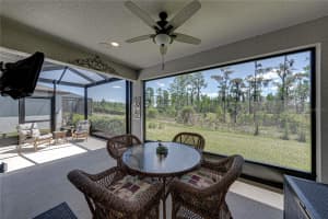 6041 SHOREBIRD BRANCH, LAND O LAKES, FL 34638 - MLS#MFRTB8501220