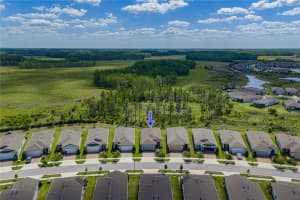 6041 SHOREBIRD BRANCH, LAND O LAKES, FL 34638 - MLS#MFRTB8501220
