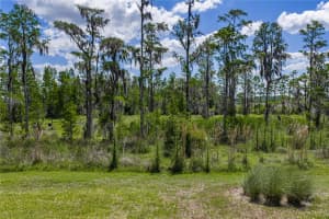 6041 SHOREBIRD BRANCH, LAND O LAKES, FL 34638 - MLS#MFRTB8501220