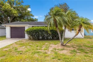 3510 WILSON DRIVE, HOLIDAY, FL 34691 - MLS#MFRTB8501230