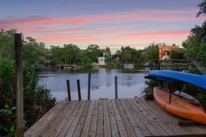 1502 PARK CIRCLE, TAMPA, FL 33610 - MLS#MFRTB8501236