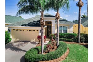 10201 SORENSTAM DRIVE, TRINITY, FL 34655 - MLS#MFRTB8501261
