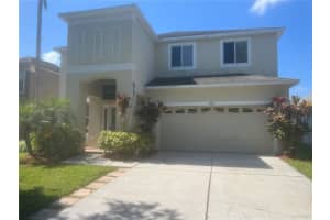 19036 Fishermans Bend Dr, LUTZ