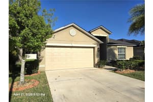 11510 PERU SPRINGS PLACE, RIVERVIEW, FL 33569 - MLS#MFRTB8501268