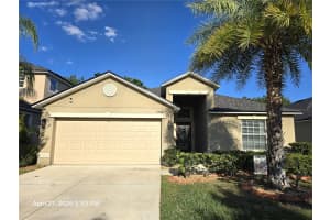 11510 PERU SPRINGS PLACE, RIVERVIEW, FL 33569 - MLS#MFRTB8501268