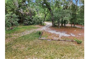 19036 246TH STREET, HIGH SPRINGS, FL 32643 - MLS#MFRTB8501322