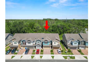 34187 CINDER WAY, WESLEY CHAPEL, FL 33545 - MLS#MFRTB8501329