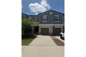 17586 NECTAR FLUME DRIVE, LAND O LAKES, FL 34638 - MLS#MFRTB8501346