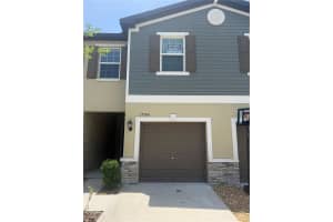17586 NECTAR FLUME DRIVE, LAND O LAKES, FL 34638 - MLS#MFRTB8501346