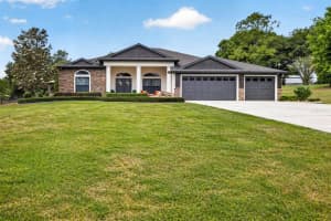 11311 GRANDVIEW DRIVE, DADE CITY, FL 33525 - MLS#MFRTB8501349
