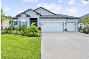 12444 BRICK COBBLESTONE DRIVE, RIVERVIEW, FL 33579 - MLS#MFRTB8501359