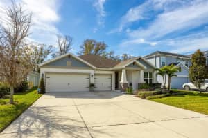 4914 Lakeshore Oaks Ct, TAMPA