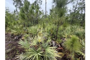 5397 BLUESTONE STREET, PORT CHARLOTTE, FL 33981 - MLS#MFRTB8501443