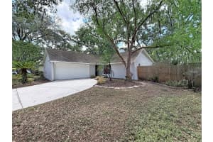 2331 TOWERY TRAIL, LUTZ, FL 33549 - MLS#MFRTB8501455