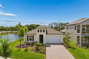 18238 PEARL VIEW PLACE, LUTZ, FL 33548 - MLS#MFRTB8501476