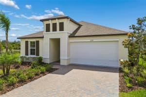 18238 PEARL VIEW PLACE, LUTZ, FL 33548 - MLS#MFRTB8501476