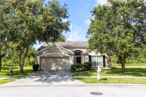 29841 MORNINGMIST DRIVE, WESLEY CHAPEL, FL 33543 - MLS#MFRTB8501485