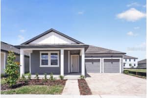 30131 EMERALD FOREST DRIVE, MOUNT DORA, FL 32757 - MLS#MFRTB8501533