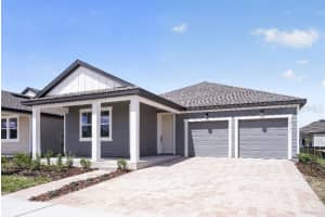 30131 EMERALD FOREST DRIVE, MOUNT DORA, FL 32757 - MLS#MFRTB8501533