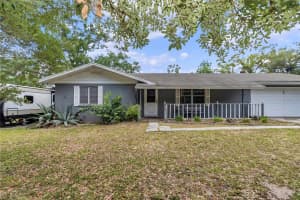 16738 63 LANE, OCKLAWAHA, FL 32179 - MLS#MFRTB8501571