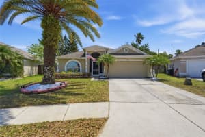 4133 SAVAGE STATION CIRCLE, NEW PORT RICHEY, FL 34653 - MLS#MFRTB8501577