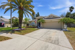 4133 SAVAGE STATION CIRCLE, NEW PORT RICHEY, FL 34653 - MLS#MFRTB8501577