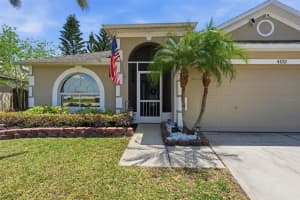 4133 SAVAGE STATION CIRCLE, NEW PORT RICHEY, FL 34653 - MLS#MFRTB8501577