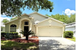 10450 Lucaya Dr, TAMPA