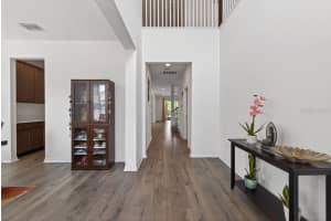 12337 SHINING WILLOW STREET, RIVERVIEW, FL 33579 - MLS#MFRTB8501597