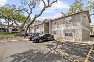 14468 REUTER STRASSE CIRCLE, TAMPA, FL 33613 - MLS#MFRTB8501626