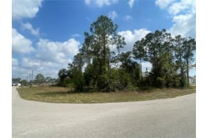 1054/1056 ALBERT AVENUE, LEHIGH ACRES, FL 33971 - MLS#MFRTB8501629